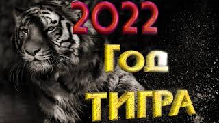2022 Год Тигра Анимация.🐯 Тигр.тигра 2022.Заставка,Футаж,Интро,Текст,Надпись.year Of The Tiger