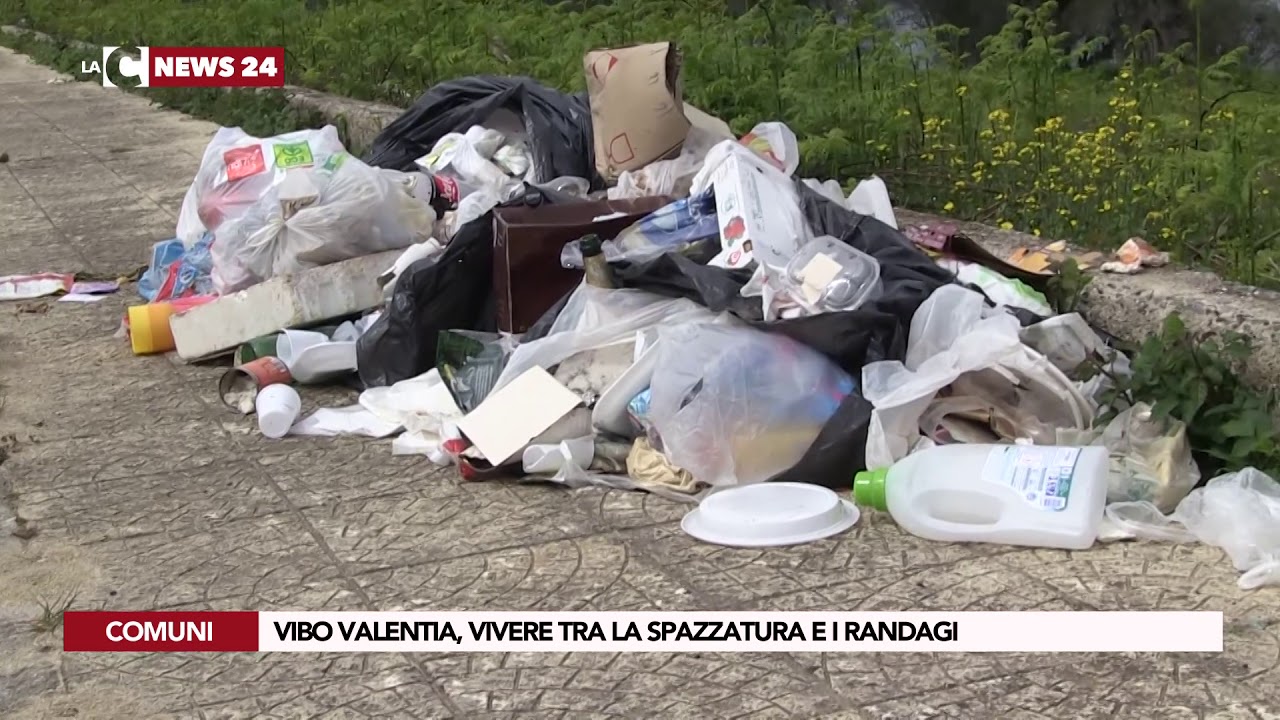 Vibo Valentia, vivere tra la spazzatura e i randagi YouTube