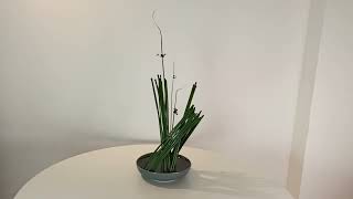 Ikebana with one material only / surface of lines