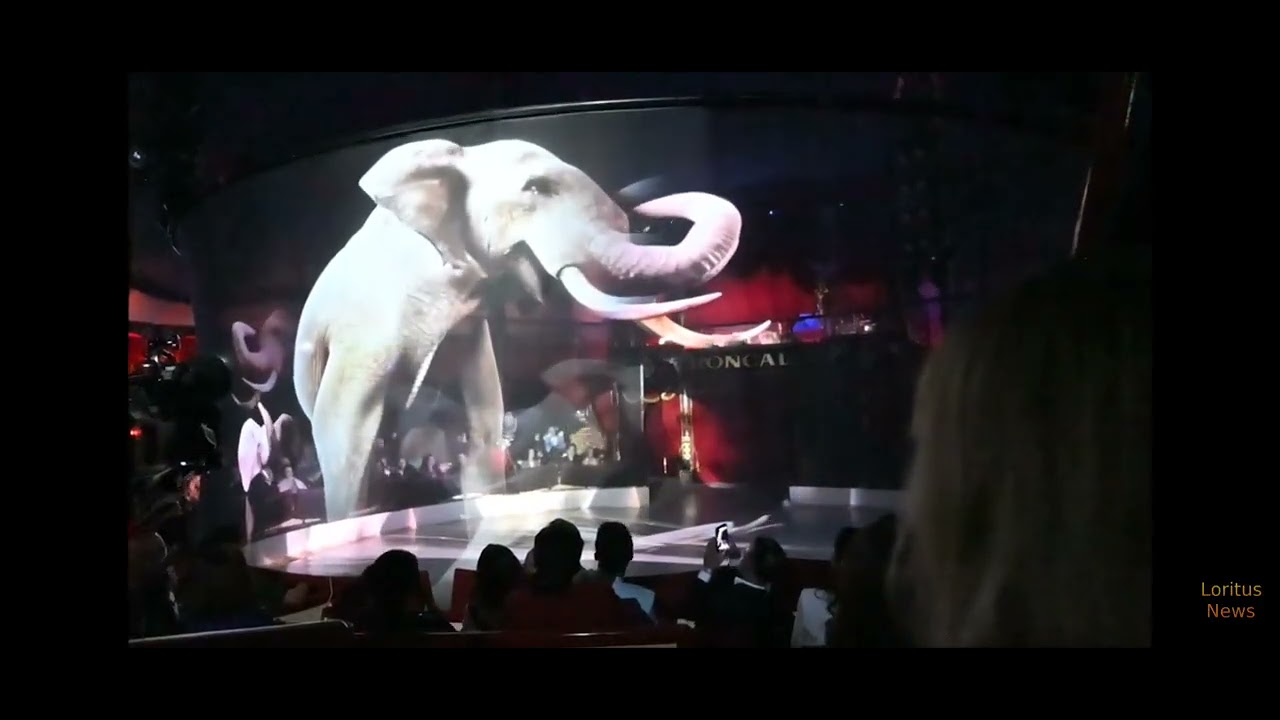 Hologramm von circus roncalli