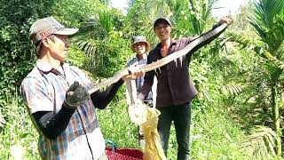 Chuyến Săn Bắt Toàn Hàng Khủng, Nhưng Bị Mắc Bẫy Quá Nhiều