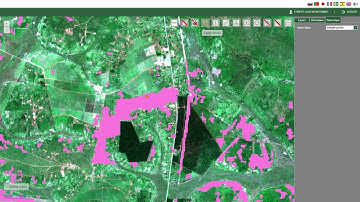 Efficient Deforestation and Forest Degradation Monitoring, Powered by ProMS
