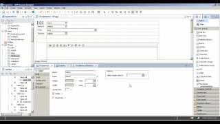 Label select on target in Xpages IBM Domino Designer