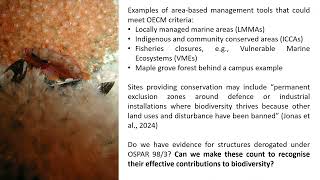 Other effective area-based conservation measures (OECMs) - Lea-Anne Henry (University of Edinburgh)