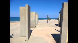 Warren Dunes Fall Migration 03