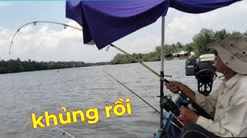 Câu cá ngát sông hòa lộc đi câu cát ngát đúng ngày đúng nước trúng ổ cá hổ bụi láBùi Hiển Ba Vát |