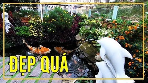 Hồ Cá Koi Đẹp Tiểu Cảnh Sân Vườn tại Resort 5 sao Đà Lạt