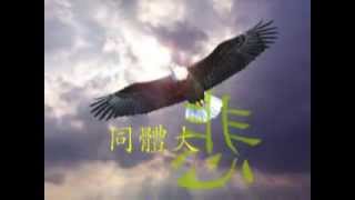 同體大悲 (善歌)