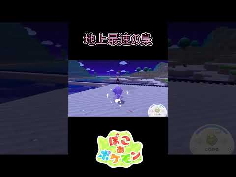 地上最速の梟　#shorts #ポケモン #ぽこあポケモン #pokemon