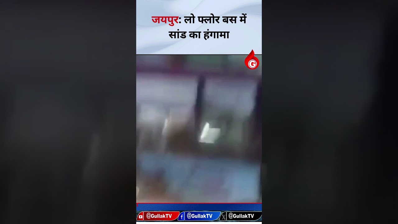 Bull Crashes Into Bus, Smashes Windows in Jaipur!