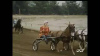 Lassie - Episode #430 - "Little Jim" - Season 13, Ep. 13 - 12/04/1966