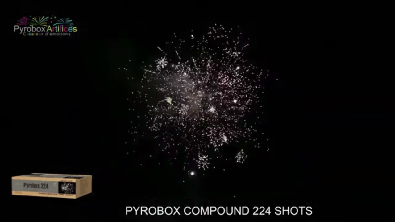 Pyrobox 224 auto