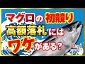 【過去最高額3億円】どうしてそこまで？マグロの初競りが高額落札になる理由とは？