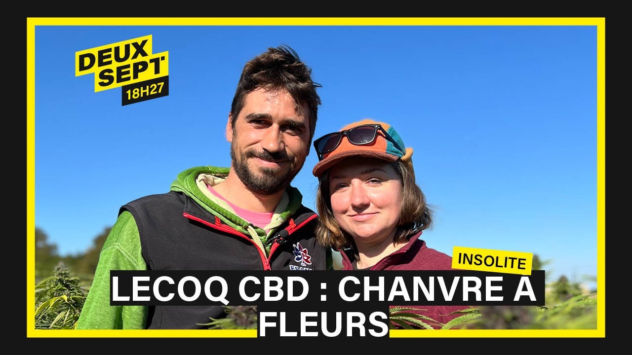 CBD made in Normandie : un couple relance la culture du chanvre sur le plateau du Neubourg