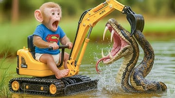 Monkey Zio Digs a Rescue Channel for the Turtle and Faces a Ferocious Giant Python! 🔥😱