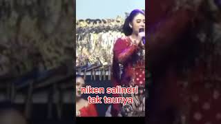  Niken Salindri  Tembak Tembak Dorrfeedshorts viralshort short