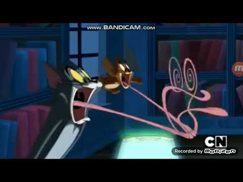 Tom and Jerry Scream 6
