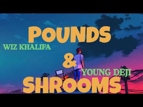 Wiz Khalifa - Pounds And Shrooms (Lyrics) Ft. Young Deji