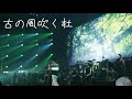 古の風吹く杜/桑田佳祐(2011年)