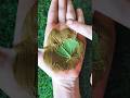 Easy & simple leaf mehndi design🌿 #shorts #henna #creativehenna #leafhenna #mehndi