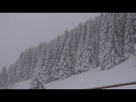 Winter Storm Ambience With Icy Howling Wind Sounds For Sleeping, Relaxing And Studying Background.