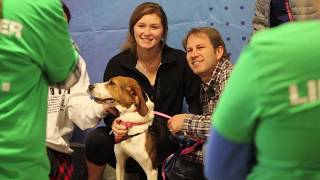 Indy Mega Event 2018 Pet Adoption