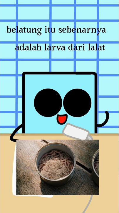 Kenapa belatung dan lalat bisa muncul di bangkai mahkluk hidup||#animasikotak#ANIMASIKOTAK#shorts