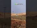 من فوق الجبل شجع الاهلي 