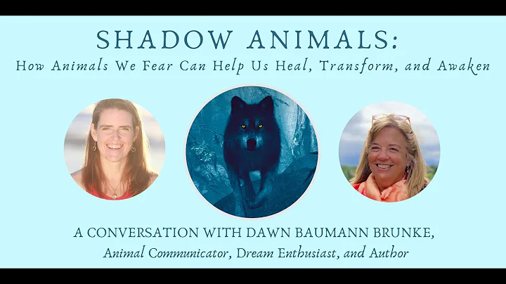 Dawn Baumann Brunke - Shadow Animals:  How Animals...