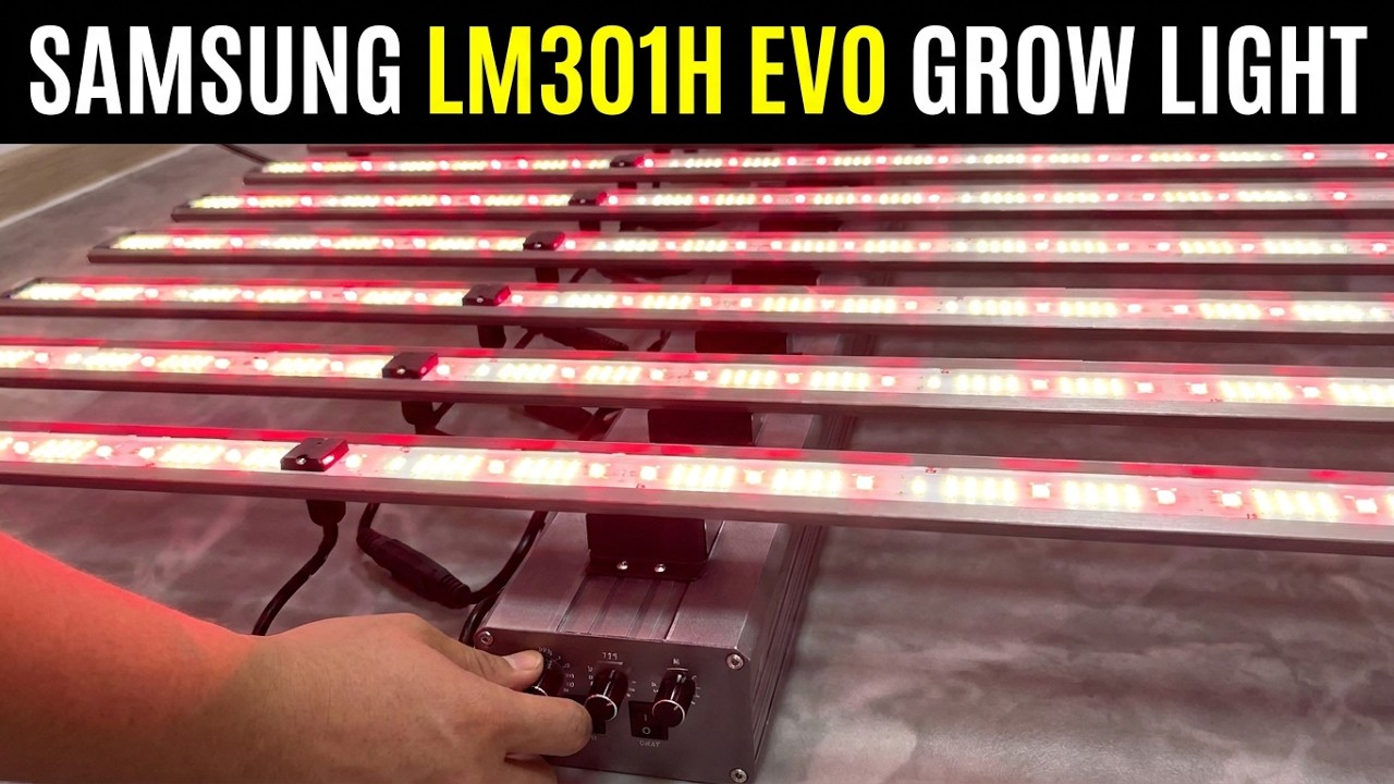 FC Samsung LM301H EVO led grow lights - YouTube
