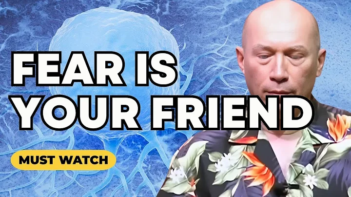 Bashar’s Ultimate Guide to Fear: How to Brake Through Confusion By Being More Afraid (Darryl Anka)