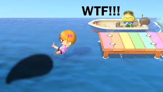 Best ANIMAL CROSSING New Horizons Clips #141