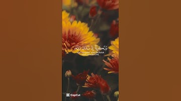 #قرآن #تلاوة_خاشعة #القرآن_الكريم #اللهم_صل_وسلم_على_نبينا_محمد #الصلاة_على_النبي #رمضان #عيد_الفطر