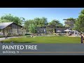 Painted Tree | Lifestyle Video