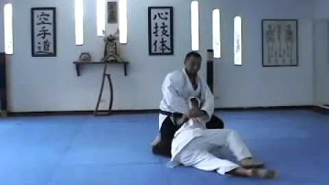 Alex Ormaza Martial Arts Demo 2008
