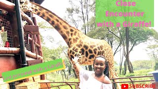 GIRAFFE Centre Nairobi/ Kenya/ Africa/ ENDANGERED WILDLIFE  Feed Giraffes! by Over Yonderlust 219 views 3 years ago 7 minutes, 14 seconds