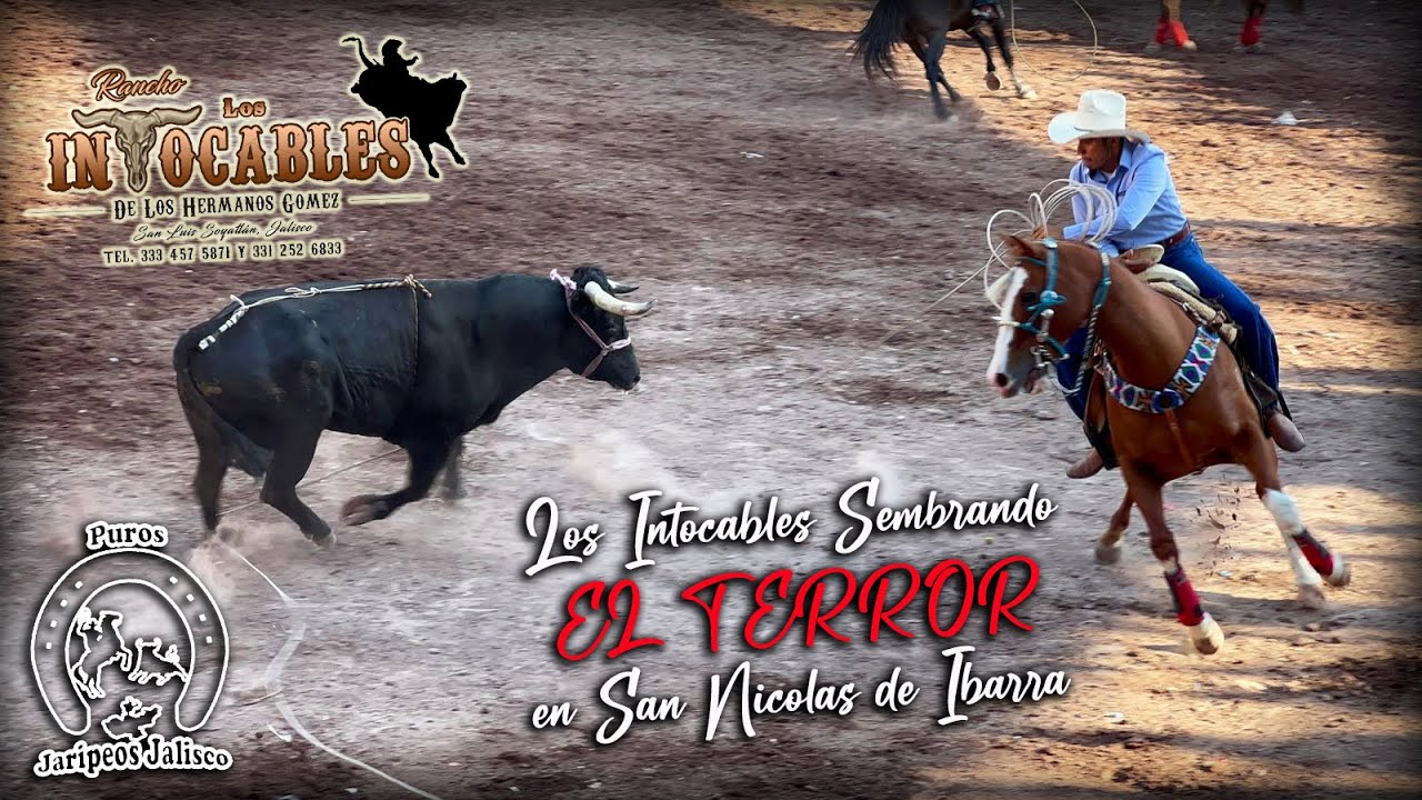 J10 LOS INTOCABLES SEMBRANDO EL TERROR EN SAN NICOLAS DE IBARRA