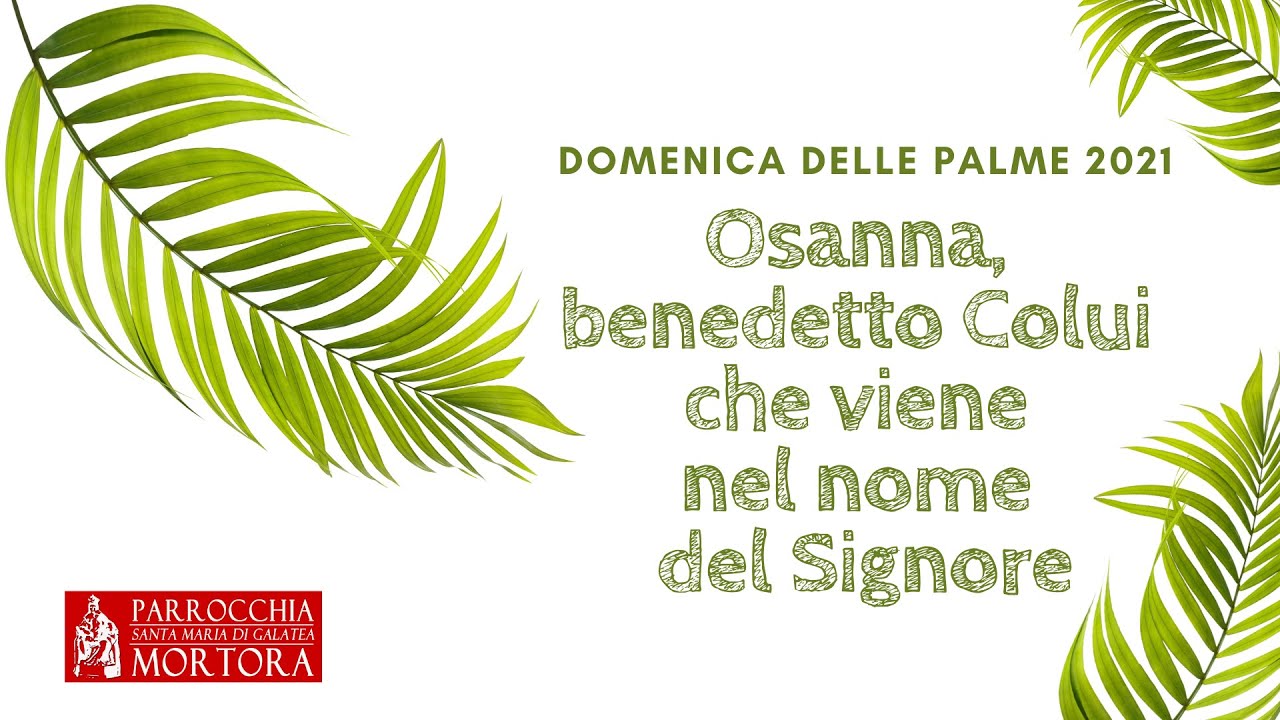 commento al Vangelo della Domenica delle Palme Anno B - YouTube