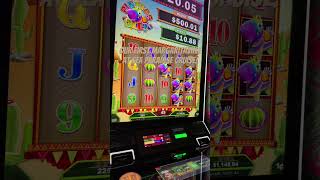 Our First Trip Aboard The Margaritaville At Sea Paradise- We Had Such A Good Time