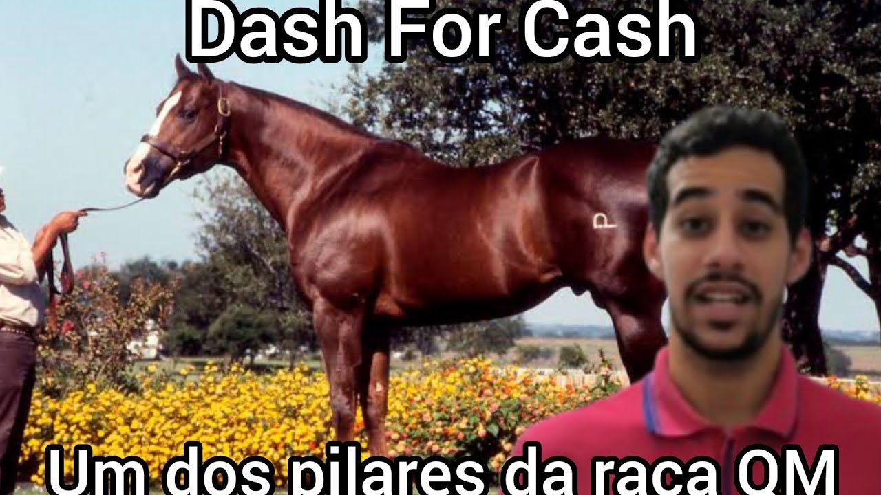 DASH FOR CASH: O Sangue Que Corre nas Veias dos Campeões | vaquejada e forró