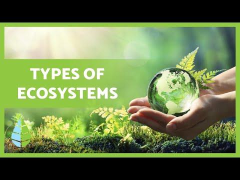 TYPES of ECOSYSTEMS and their DEFINITION 🏜️🏙️🌅