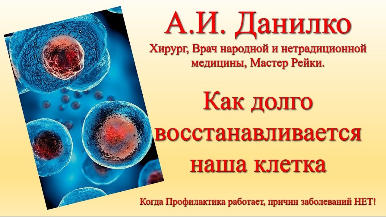 Как долго восстанавливается птс Как долго восстанавливается птс