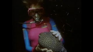 Female Scuba Divers Diving At Night 1980S