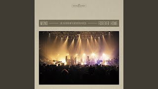 Reflection (Live with Orchestra PITREZA)