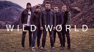 Barbie Sailers - Wild World (Official Music Video)