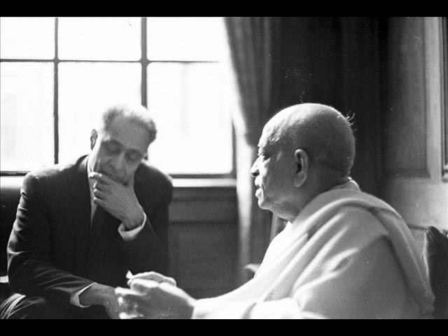 жизнь собак и кошек