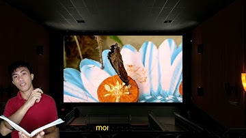 Mathematics in the Modern World (Patterns in Nature)