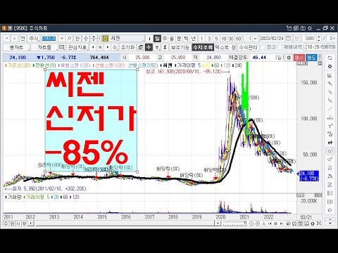 <strong>씨젠</strong> 신저가 -85%
