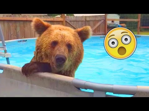 Приколы с Детьми! Я ЖАДИНА))Топ 10
