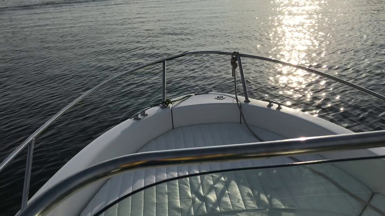 Stingray XRIII JR with 60 hp 4 stroke efi YouTube